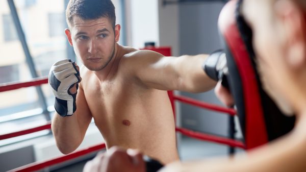 Boxing training focus mitts