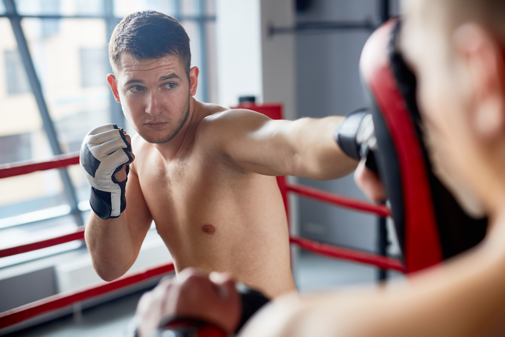 Boxing training focus mitts