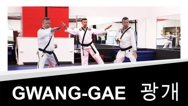 Taekwondo Form Gwang-Gae