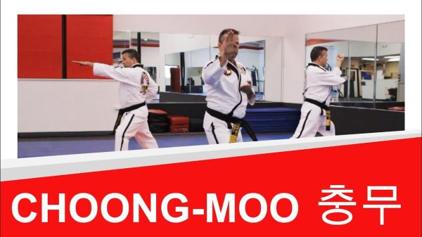 choong-moo taekwondo