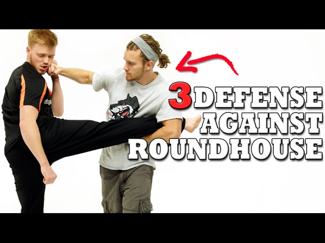 defense against a roundhouse kick