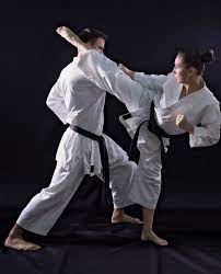 Top 10 Martial Arts to Learn Before You Die