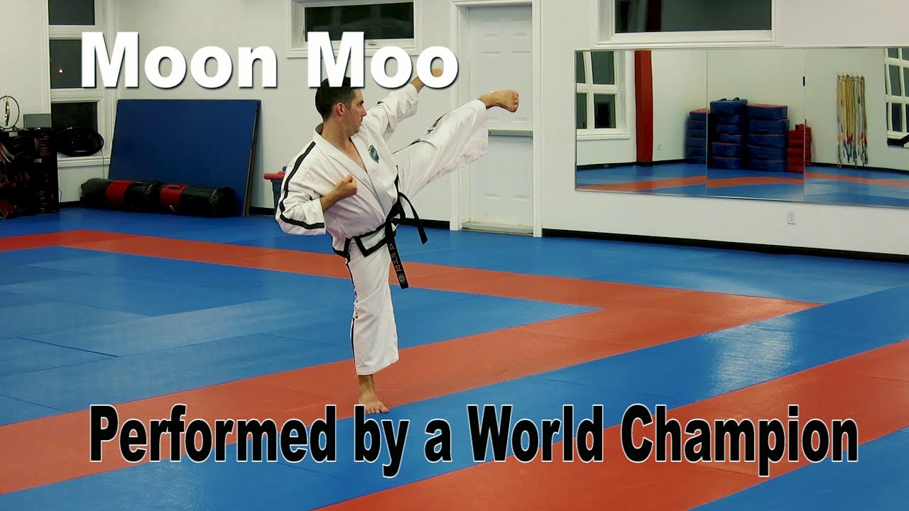 moon-moo taekwondo