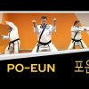 po-eun taekwondo form